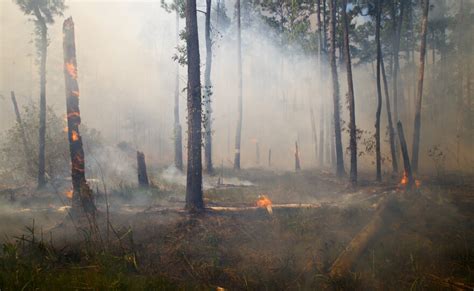 Louisiana on fire in summer 2023 with threat growing for even more.