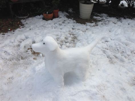 How to Make a Snow Dog Sculpture : 3 Steps - Instructables