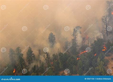 Uncontrolled Fire stock photo. Image of blaze, flammable - 5567136