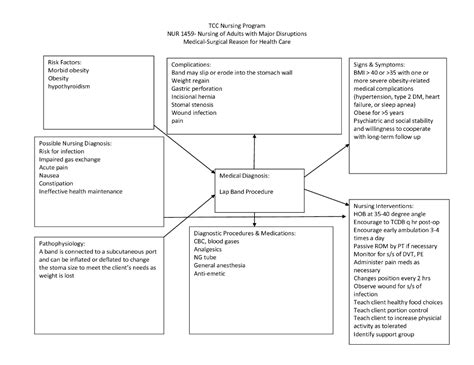 Free Nursing Concept Map Template Microsoft Word Print Immediately Or Fill In Your Template On ...