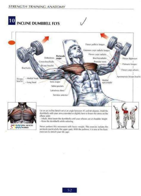 Health and Fitness Programs: Chest Workout Routine for Mass