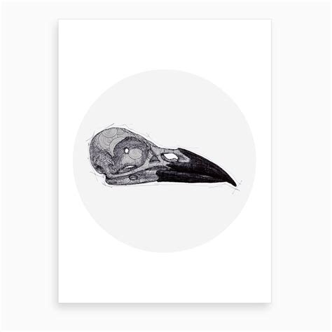 Crow Skull Art Print by Anastasia Chernyavska - Fy