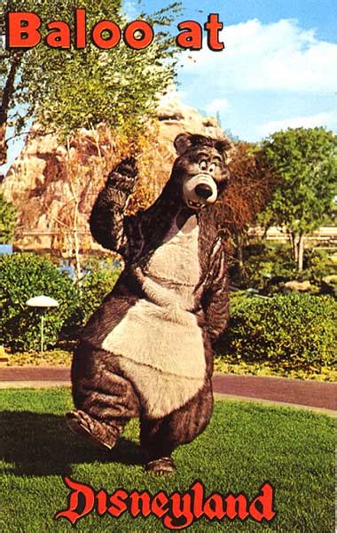 Baloo Costumes Through the Years | Disney Wiki | Fandom