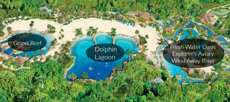 A map of the all inclusive Discovery Cove Orlando | Discovery cove ...