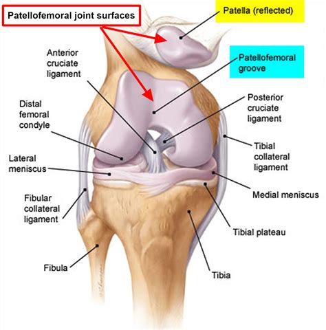 Patellofemoral Pain Syndrome - Causes, Symptoms, Treatment