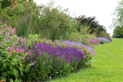 How To Create A Stunning Herbaceous Border | Horticulture