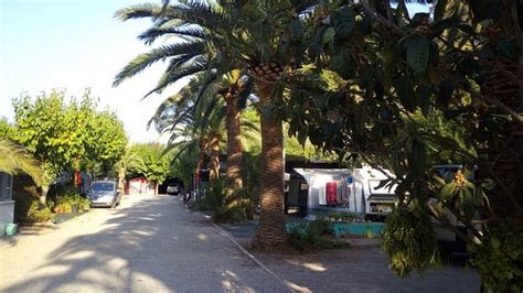 CAMPING FLORIDA (Benicasim) - Campground Reviews, Photos, Rate ...