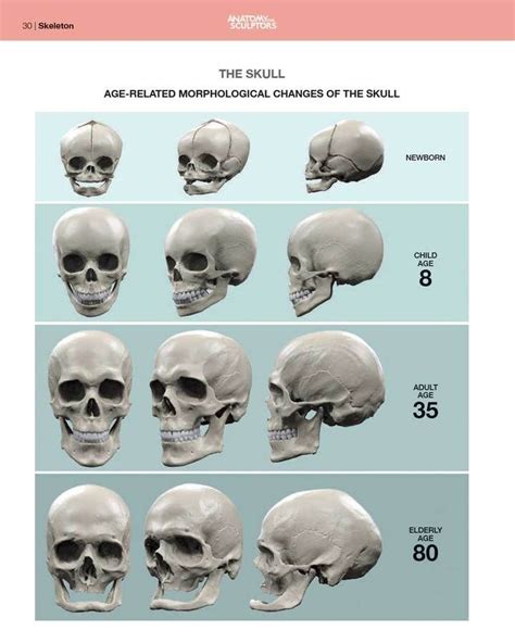 We Are Redefining The Anatomy Of The Human Face, Often The Most Difficult Area Of Human Anatomy ...