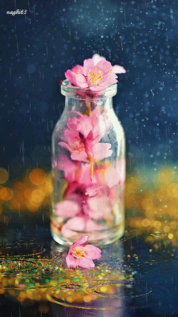 Google+ | Art, Rose flower wallpaper, Flower images