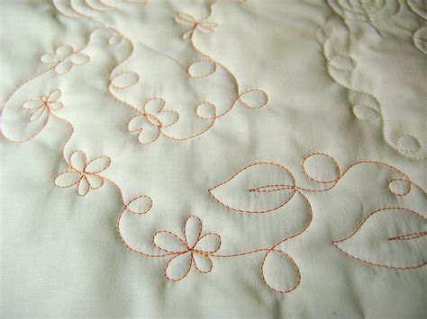 Amy's Free Motion Quilting Adventures: Free Motion Monday: The Beginner ...