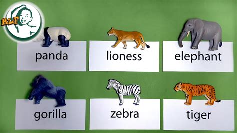 Learn zoo animal names by a simple word card matching game - YouTube