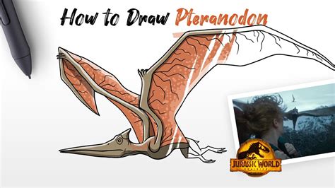 How to Draw Pteranodon dinosaur from Jurassic World Dominion movie Easy Step by Step - YouTube