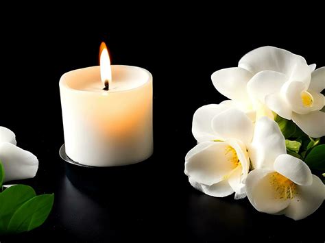 Condolence Message Stock Photos, Images and Backgrounds for Free Download