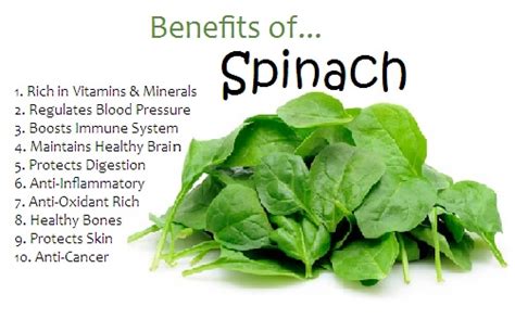 Health Benefits of Spinach Leaf Juice Powder in Diet