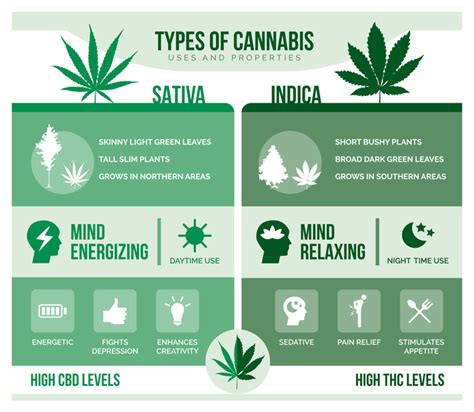 Boost Wellness | Cannabis: Indica, Sativa, and CBD | Heally