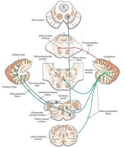 Pin on Medicine