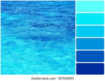 Ocean Color Palette Photos, Images & Pictures | Shutterstock