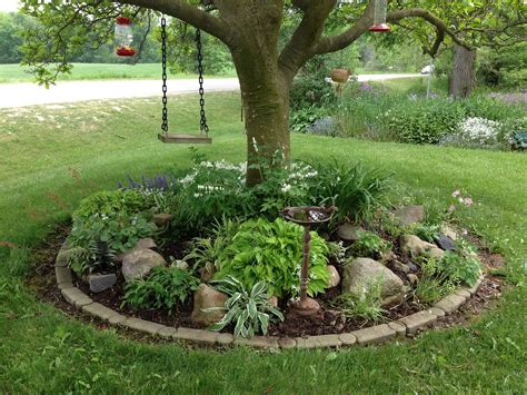 My rock garden under my magnolia tree includes: miniature hosts - snow in summer - coral bells ...