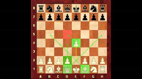 Chess for Beginners. Chess Openings #1. Opening Fundamentals. Eugene Grinis. Chess - YouTube