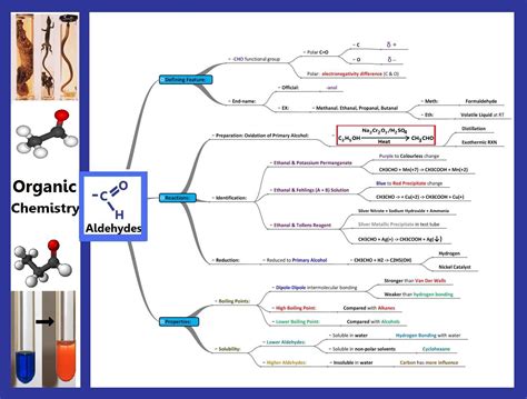 JPG Image | Chemistry, Functional group, Flashcards