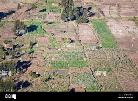 Agriculture in rural Kenya Stock Photo - Alamy