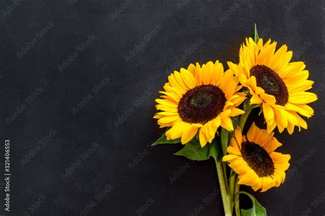 Bouquet of sunflowers on black background top-down copy space Stock Photo | Adobe Stock