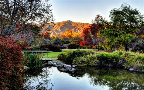 Vibrant Fall Colors Enliven Southern California – California Fall Color