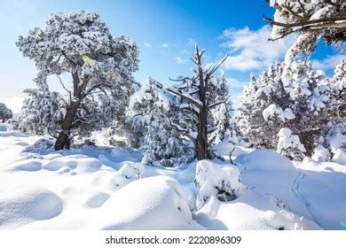 637 Colorado National Monument Winter Images, Stock Photos & Vectors | Shutterstock