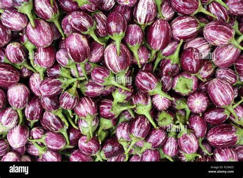 Brinjal Stock Photos & Brinjal Stock Images - Alamy