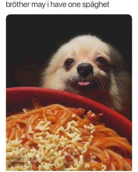 The best spaghetti memes :) Memedroid