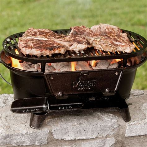 Lodge Hibachi-Style Charcoal Grill | Camp cooking, Best charcoal grill ...