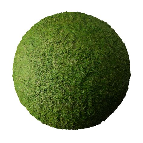 BlenderKit | Download the FREE Grass material