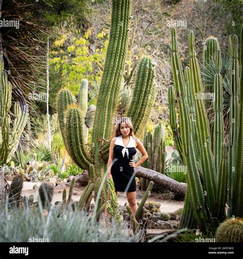 Beautiful Young Woman Wearing a Short Black and White Dress Standing in ...