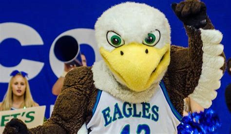 Florida Gulf Coast University is home to Azul the Eagle | FGCU