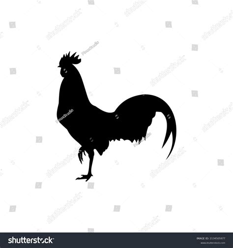 Best Rooster Silhouette Image White Background Stock Vector (Royalty ...