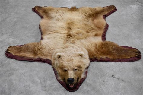 Lot - Full Body Grizzly Bear Taxidermy Rug