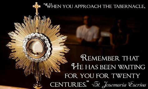 Pin by Ellen Finan on Quotes | Eucharistic adoration, Eucharist, Adoration