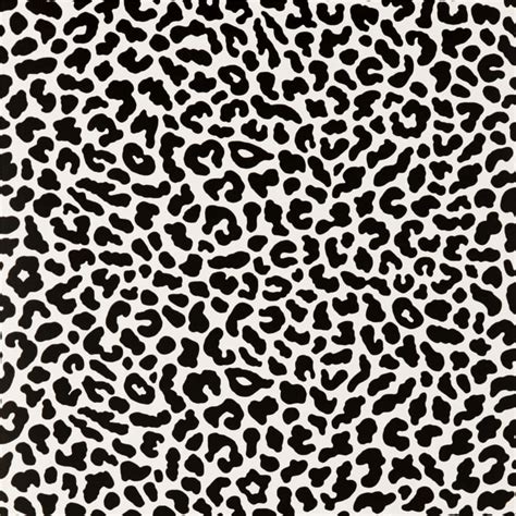 Download Black And White Animal Print Wallpaper | Wallpapers.com