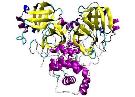 Chinese Scientists Determine COVID-19 Main Protease Structure and Potential Drugs to Combat the ...