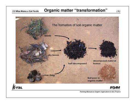 Managing Organic Matter for Soil Health and Fertility