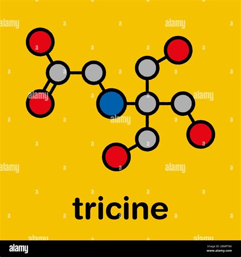 Tricine buffering agent molecule. Stylized skeletal formula (chemical structure): Atoms are ...