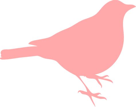 Blackbird Standing Silhouette · Free vector graphic on Pixabay