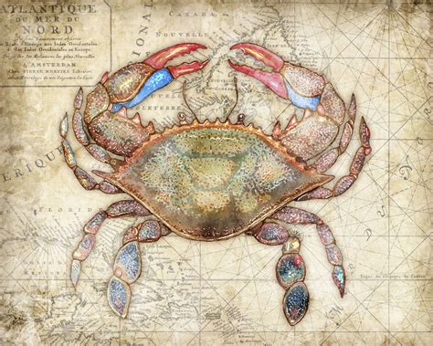 Crab Coastal Art Print titled "Blue Crab 3" Signed by Dan Morris, Wall Art,11x14 | Coastal art ...