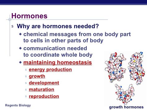 Hormones & Reproduction