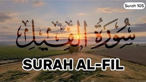 105 Surah Al Fil the Elephant Surah Feel with English translation QuranPath