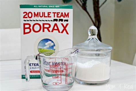 borax ant killer recipe inside - Ji Venegas