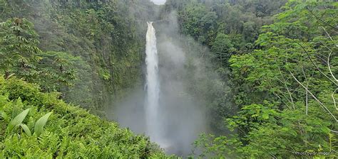 4K 無料ダウンロード | Akaka Falls, Hawaii (The Big Island), 滝, 霧, 緑, ハワイ, 森林 ...