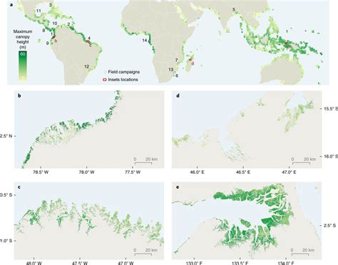 Mangrove World Map