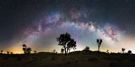 A crystal clear night at Joshua Tree National Park - Photorator