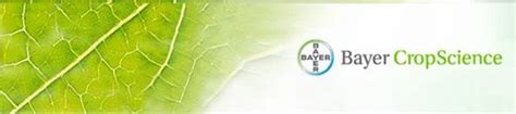Bayer Crop Science at best price in Delhi by Bayer Schering Pharma | ID: 8732555355